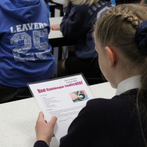 Year 7 Induction Day 2025