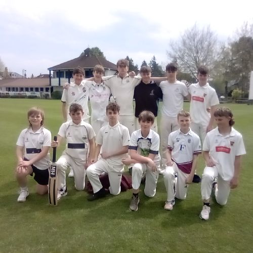 cricket5