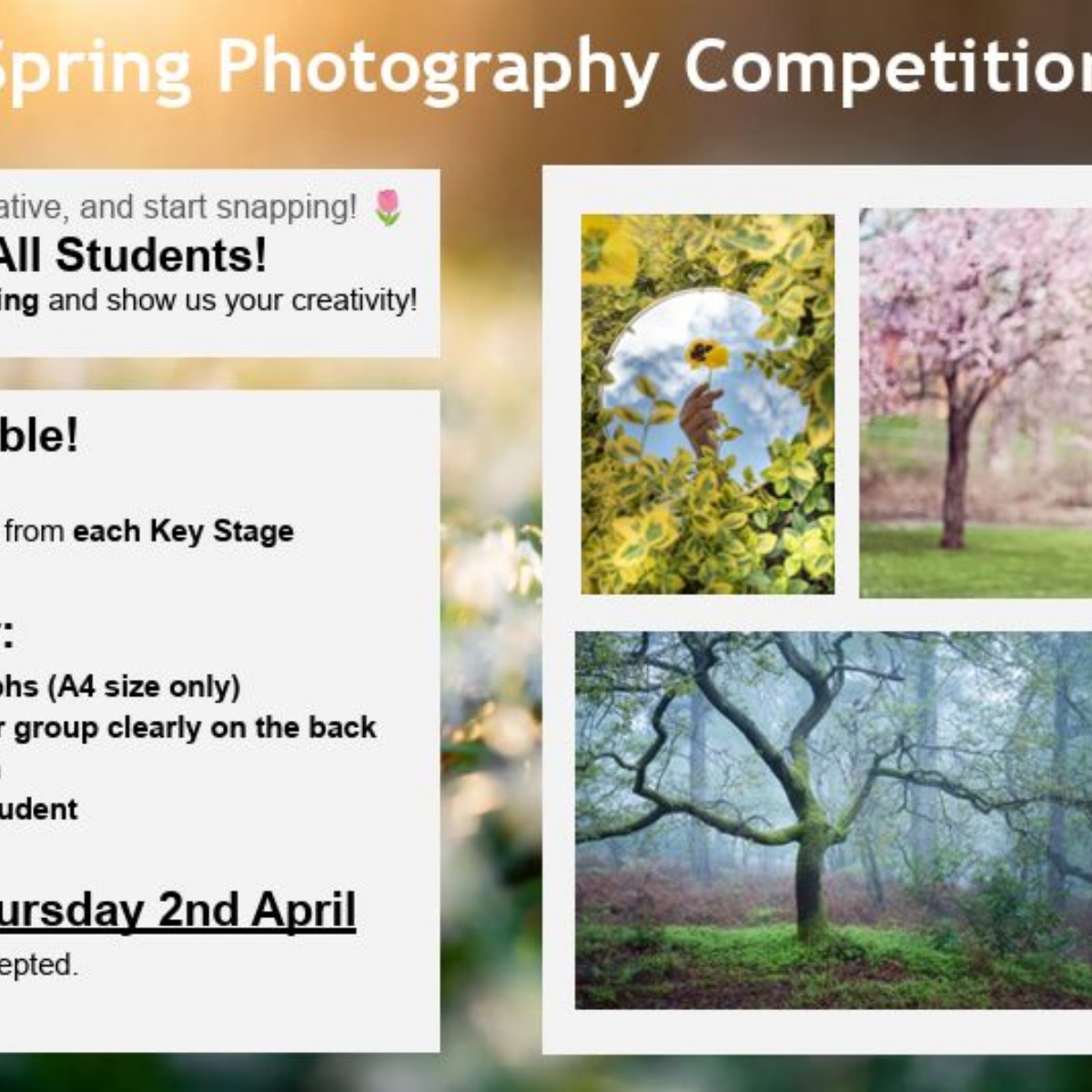 Spring Competition Churchill Academy & Sixth Form - Spring Photography Competition Launch ...